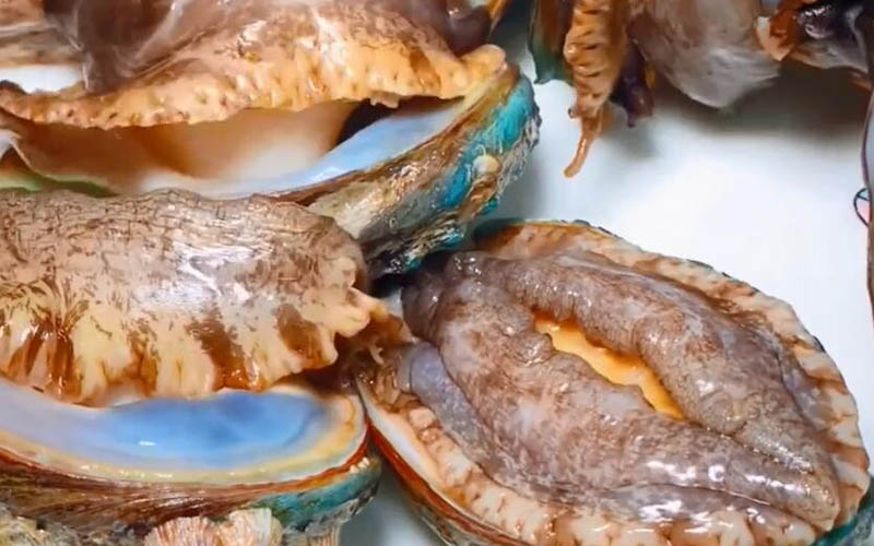 Comment mangent les fruits de mer en gros professionnels